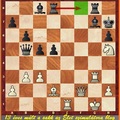 Sakkfeladat - sakkrajongóknak