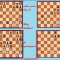 Sakkfeladatok - amatőröknek