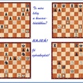 Szellemi kincsesláda -   Négy sakkfeladat egy blokkban