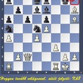 Sakkfeladat egykori versenysakkozóknak és gyakorlott amatőröknek