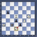 Sakkfeladat - gyakorlott amatőröknek - kezdő versenysakkozóknak