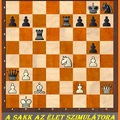 Sakkfeladat - amatőröknek - 13 éves a "A sakk az Élet szimulátora" blog!