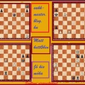 Sakkfeladat-blokk - amatőröknek és kezdőknek