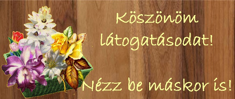 koszonom_a_latogatasod.jpg