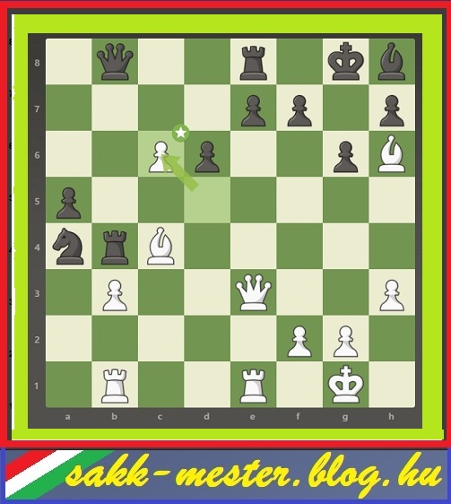 pos272_2.jpg