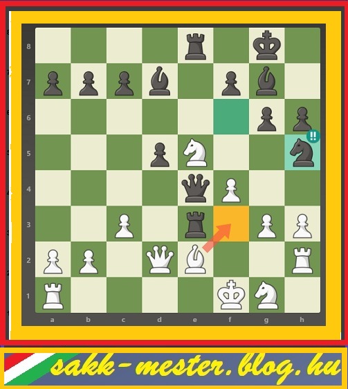 pos302_1.jpg