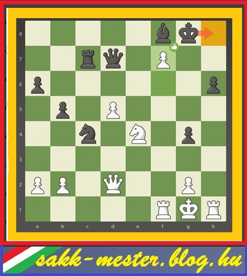 pos302_2.jpg