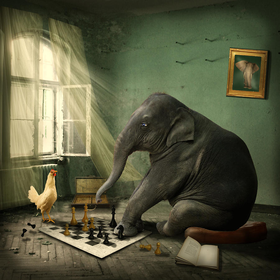 elephant-chess-ethiriel-photography.jpg