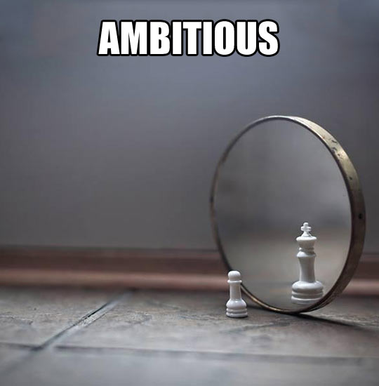 funny-picture-ambitious-chess-mirror.jpg