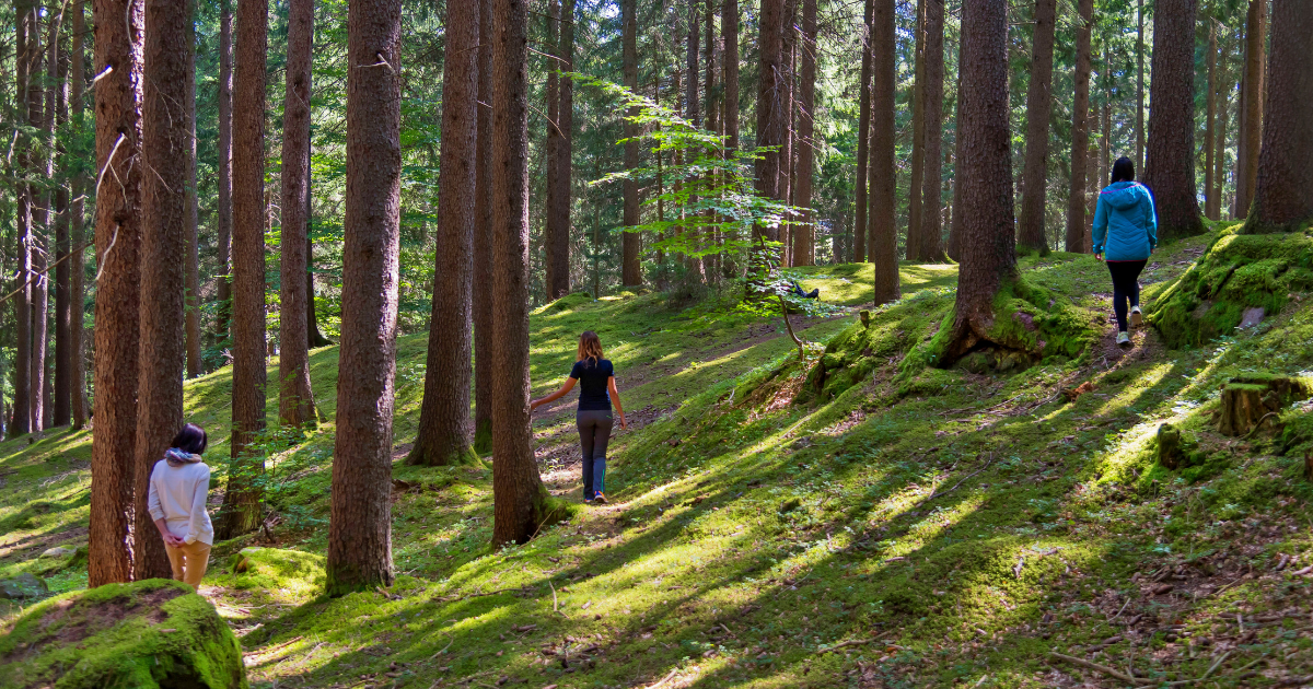 forest-bathing-in-south-tyrol-becoming-calm-in-nature.png