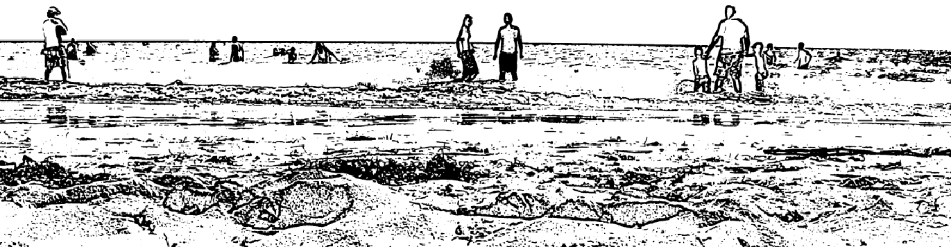 coronado_beach.jpg