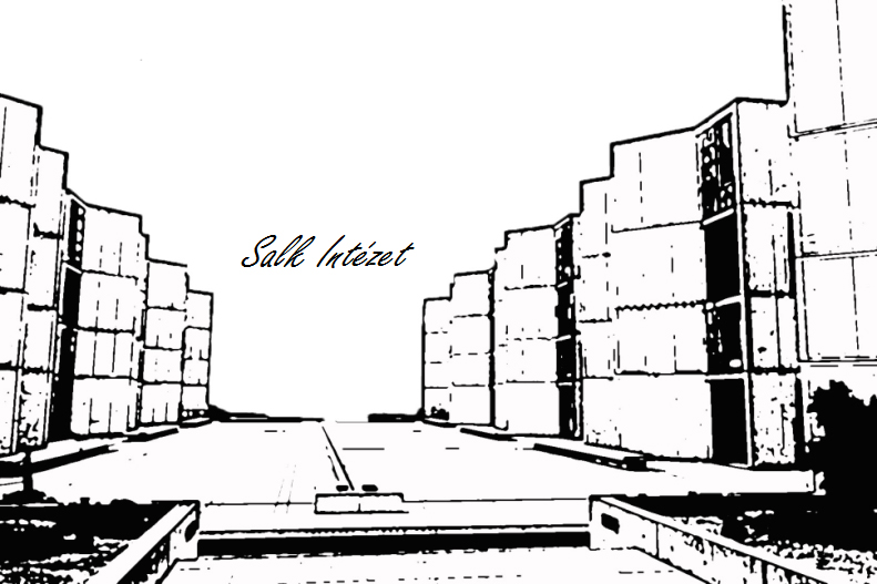 salk.jpg