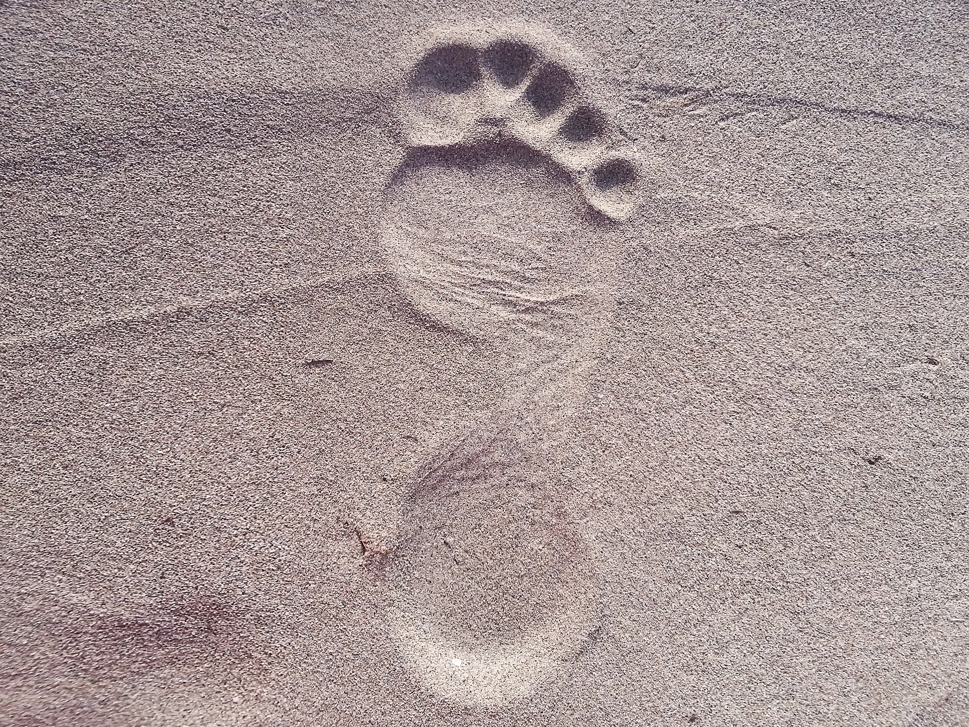 footprint-2624609_1920.jpg