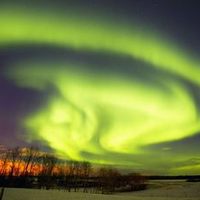 Grönlandi kutyák és huskyk vállán