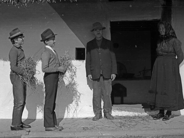 „Luca-Luca kitty-kotty…”