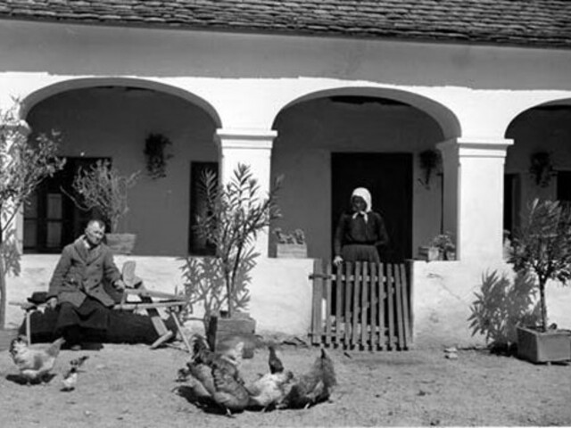 Nálatok laknak-e állatok?