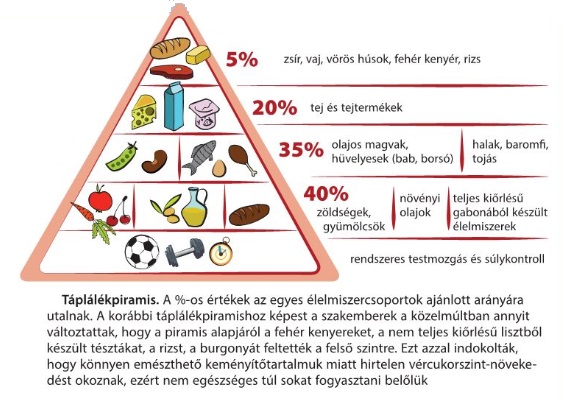 Táplálkozási piramis biológia