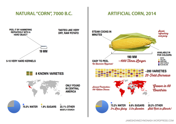 artificial-natural-corn3.png