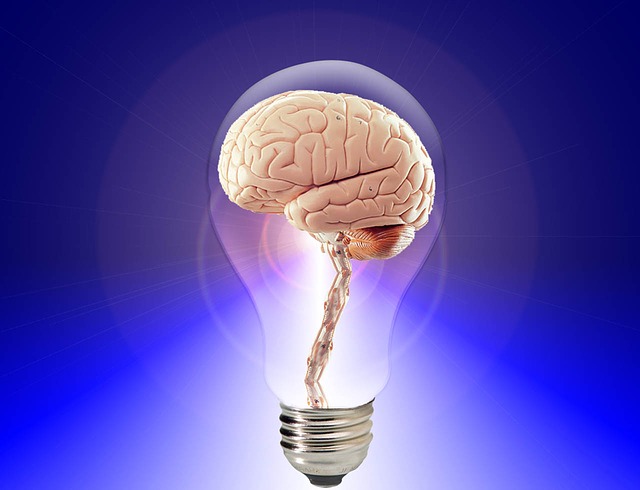 brain_pixabay.jpg