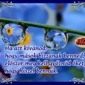 Én hiszek Benned!