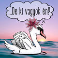 KI vagyok ÉN??