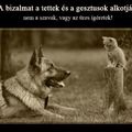 Viszonzatlan..........