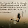 B..szammeg ezt tényleg Én akartam?