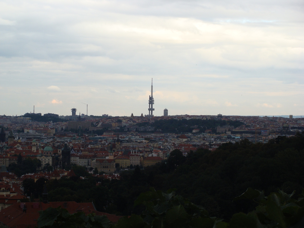 dsc09443.JPG