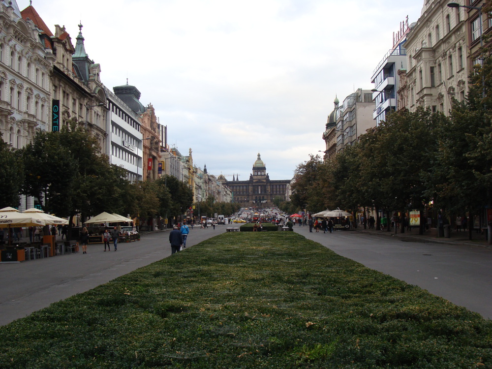 dsc09451.JPG