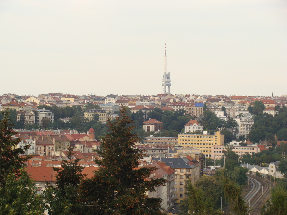 dsc09730.JPG