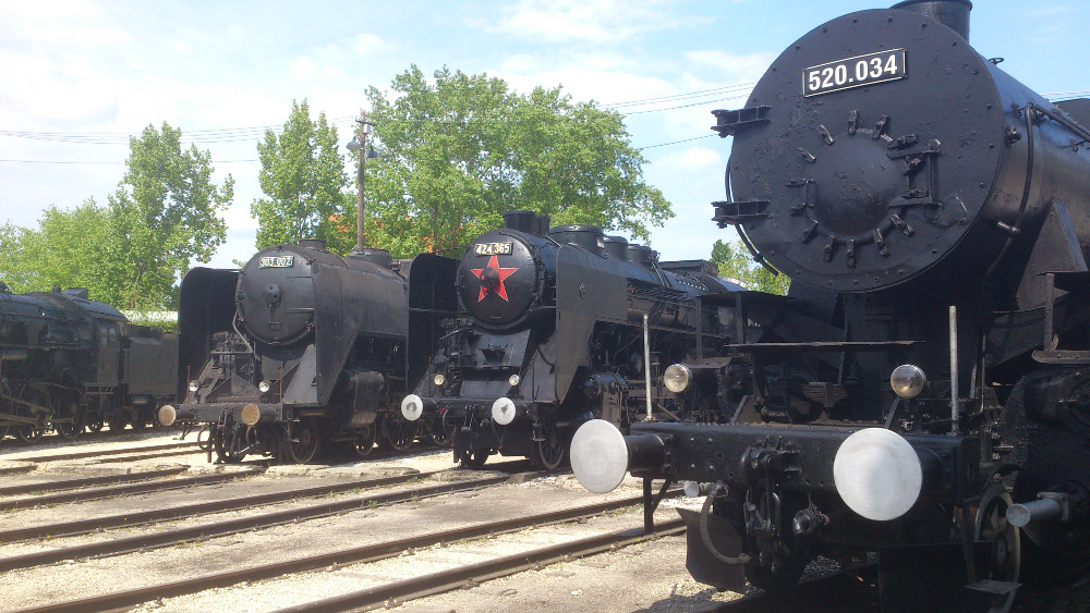 dsc_0205.jpg
