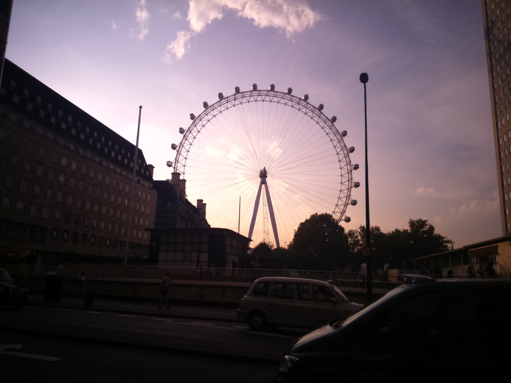 dsc_0255.JPG