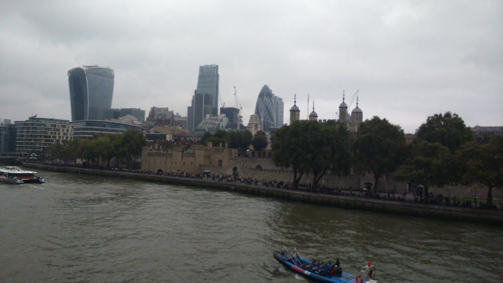dsc_0481.JPG