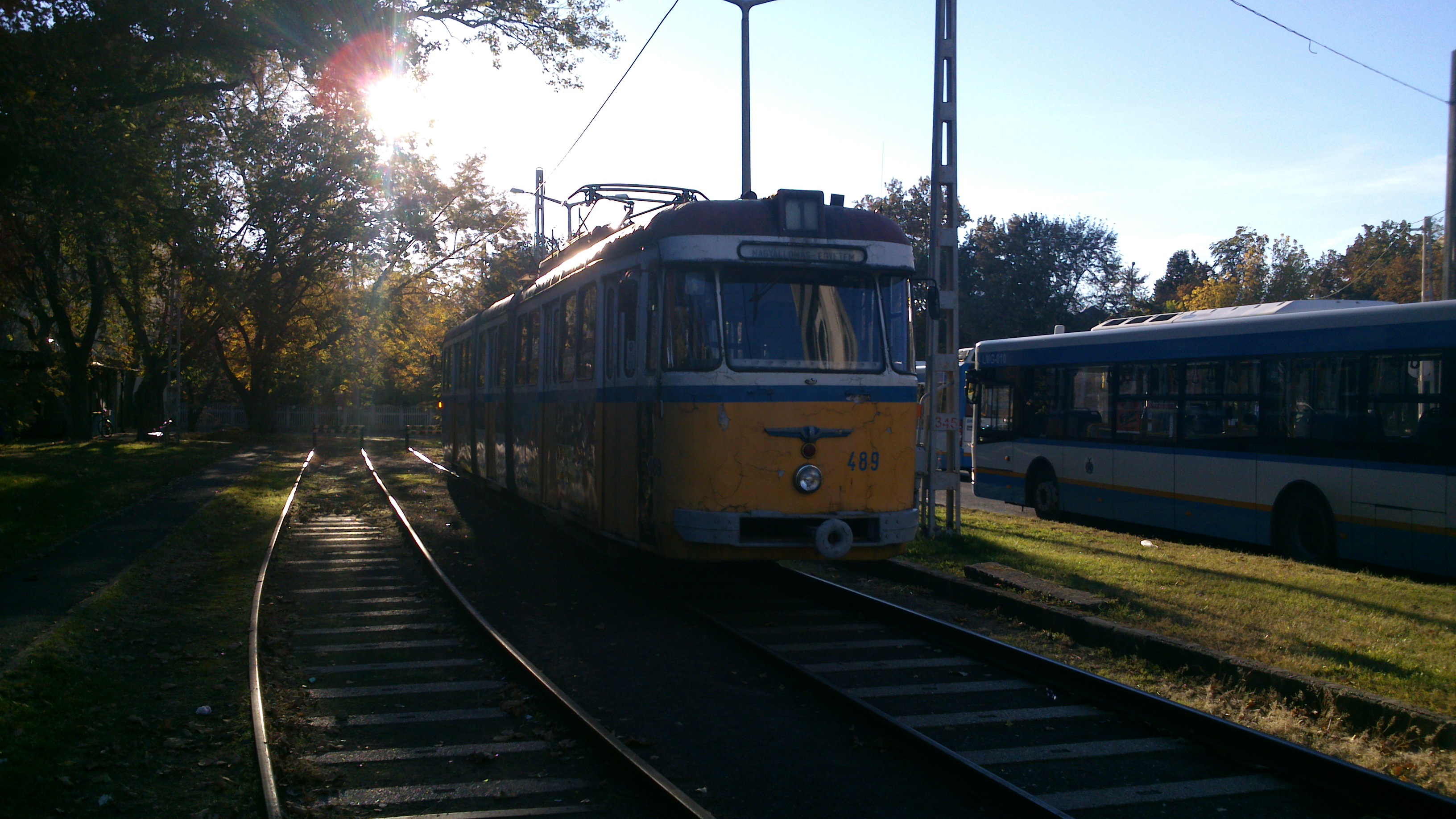 dsc_0798.jpg