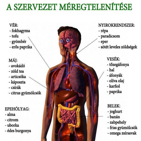 meregtelenites.jpg