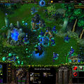 Warcraft III + Frozen Throne + TORRENT