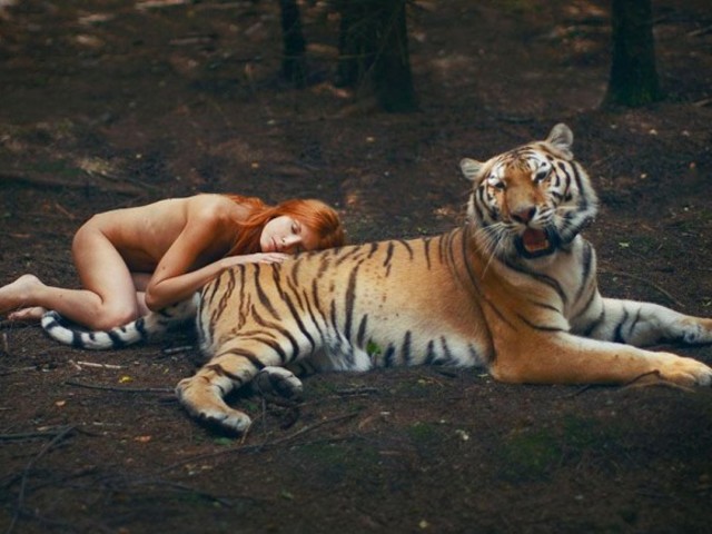 Greguss Sándor: Kisdelírium