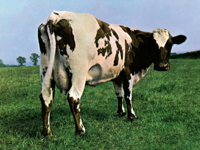 Borjúra várt a sör