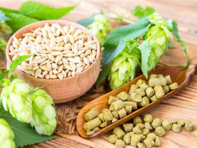 Vegetariánus-e a sör?