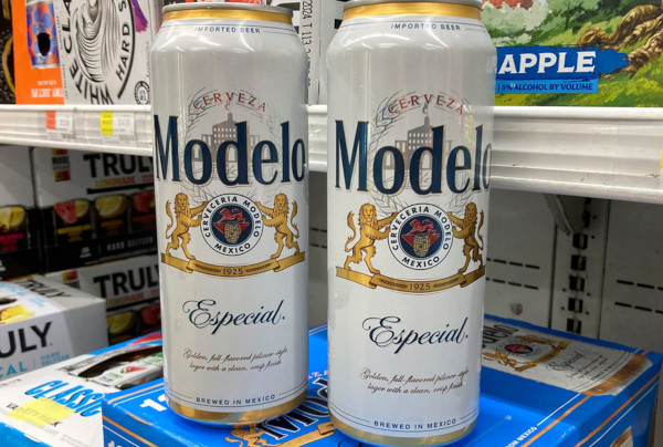 modelo.jpg