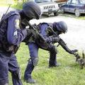 Terrorista :)