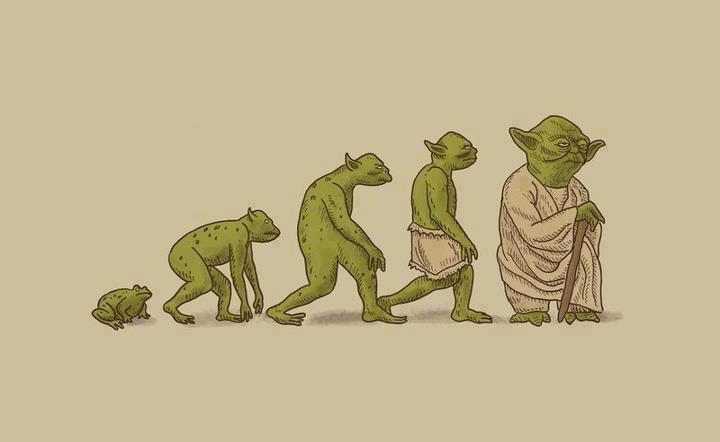 yode evolucio.jpg