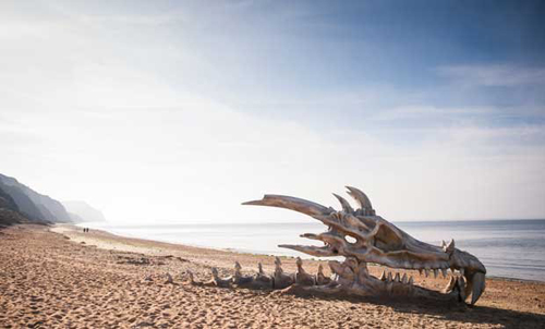 giant_dragon_skull_appears_on_beach.jpg