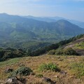 Eravikulam Nemzeti Park