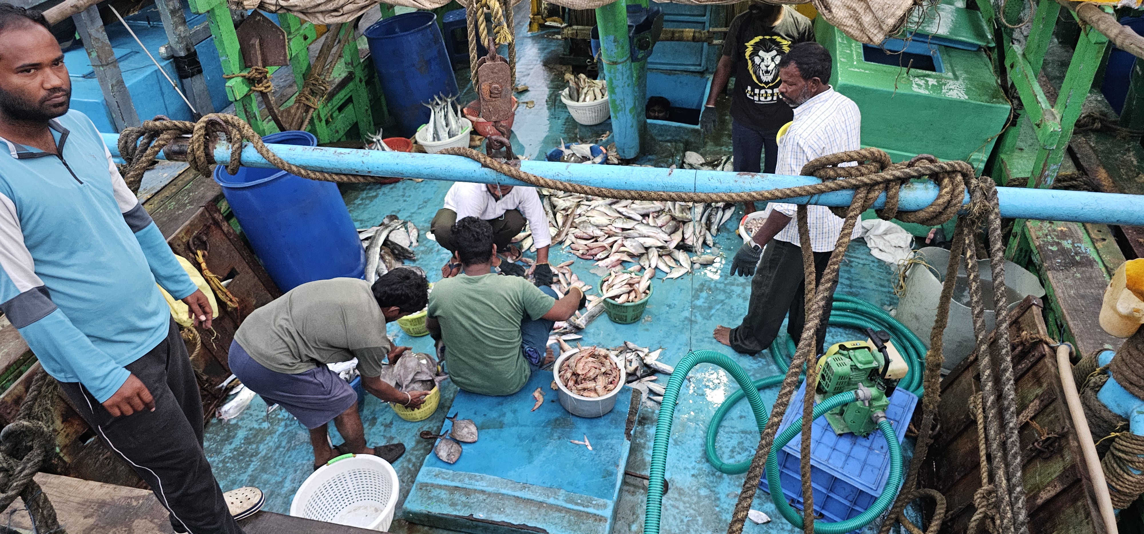 egész éjjel kint voltak