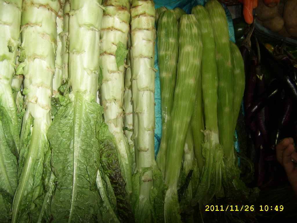 asparagus lettuce(sparga salata).JPG