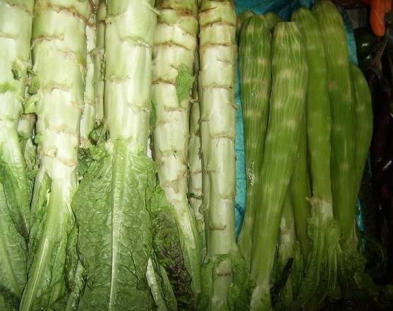 asparagus lettuce(sparga salata)_1.JPG
