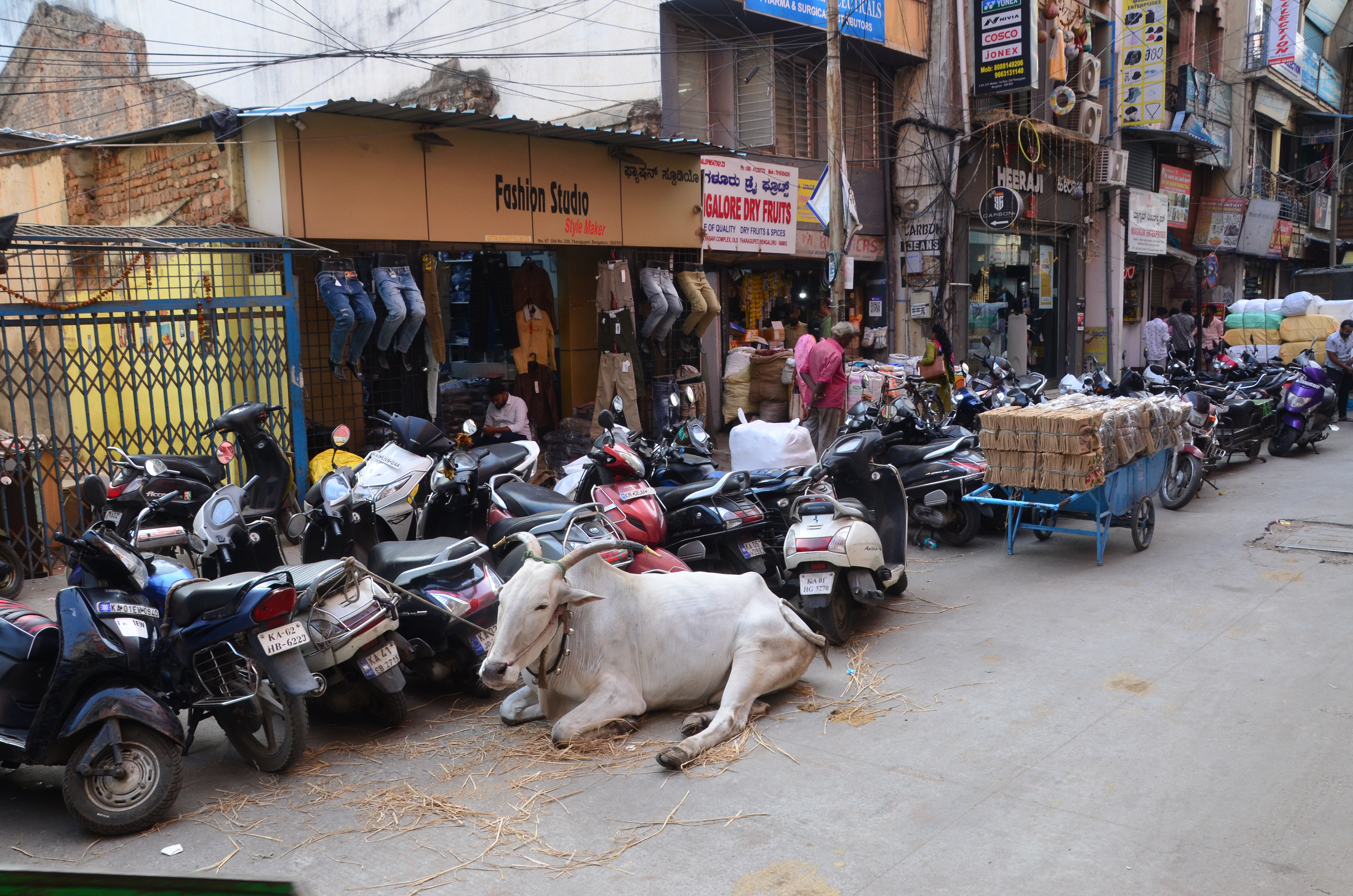 Bangalore