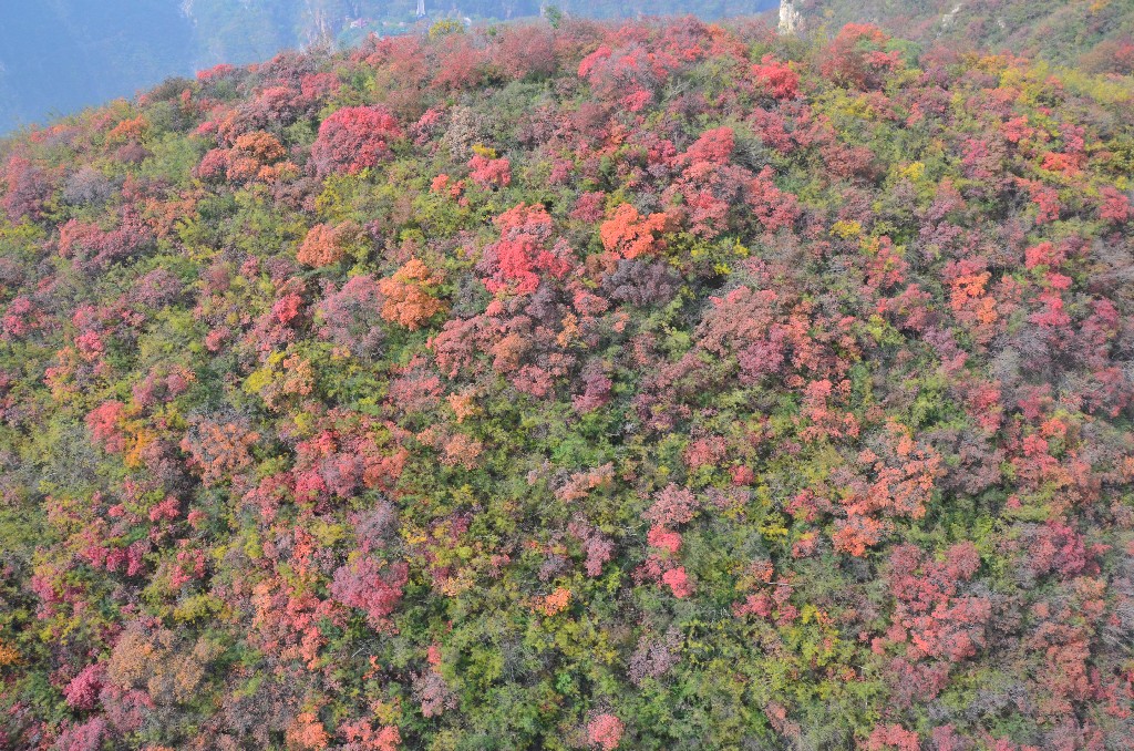 A domboldalakat borító zöldellő erdőket az ősz közeledtével, narancssárga, sárga és vörös foltok színezik.