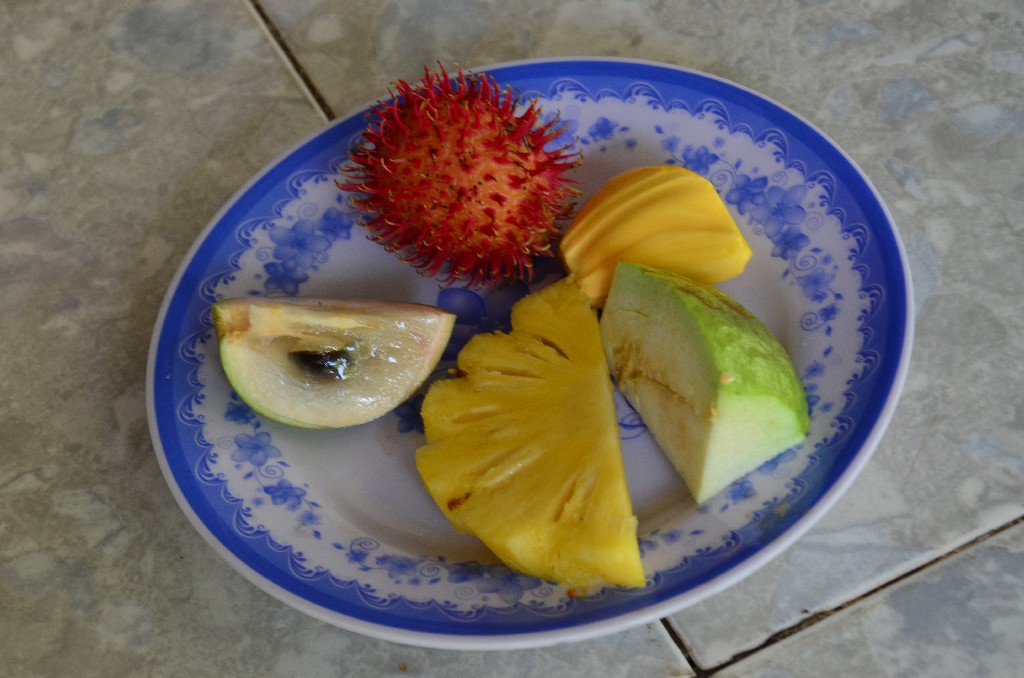 Egyik gyumolcs-farmon kulonbozo egzotikus gyumolcsokkel ismerkedtunk, es kaptunk egy tanyernyi kostolot is. Mikozben majszolgattuk, helyi nepdalokkal es neptanccal szorakoztattak.<br />Kostolo: A piros szoros a rambutan, jobbra tole ( ora jarasa) a jackfruit, utana egy szelet guava, ananasz, vegul a csillagalma